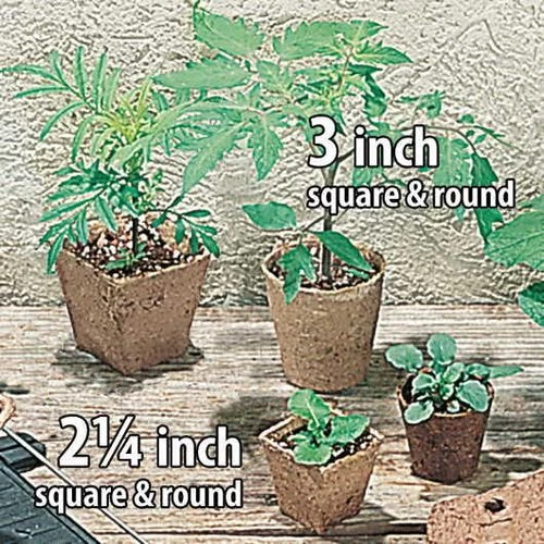 Jiffypots® 2¼-inch Square Biodegradable (Pack Of 100) 4 Jiffypots® 2¼-inch Square Biodegradable (Pack Of 100) - Image 2