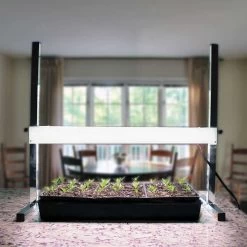 Tabletop Plant Light | 24-inch