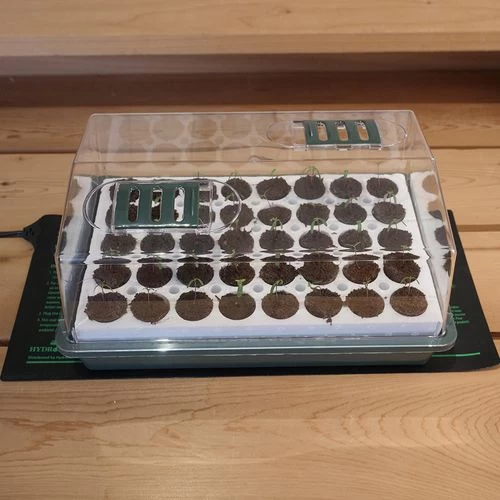 Hydrofarm Jump Start Waterproof Seedling Heat Mat - 9 Inch X 19.5 Inch 4 Hydrofarm Jump Start Waterproof Seedling Heat Mat - 9 Inch X 19.5 Inch - Image 2