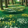 Naturalizing Mix Daffodil Bulbs 1 Naturalizing Mix Daffodil Bulbs -Botanical Bliss 08469 pk 20