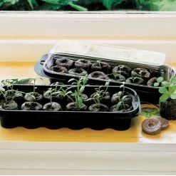 Park's Windowsill Greenhouse Refills 8 Park's Windowsill Greenhouse Refills -Botanical Bliss 09093 PK 36 2