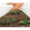 Park's Plant Frost Protector Fabric -Botanical Bliss 09240