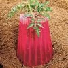 Kozy-Coats™ Insulating Plant Protector - Set Of 3