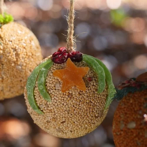 Christmas Fruit & Nut Birdseed Bell 5 Christmas Fruit & Nut Birdseed Bell - Image 3