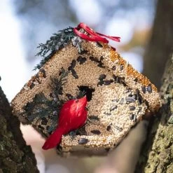 Wren Birdseed Casita + Cardinal