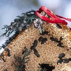 Wren Birdseed Casita + Cardinal -Botanical Bliss 23406 2