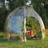 Tierra Garden Sunbubble Greenhouse 1 Tierra Garden Sunbubble Greenhouse -Botanical Bliss 25820