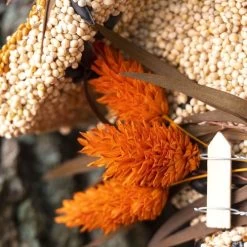 Wren Birdseed Casita + Butterfly -Botanical Bliss 25822 2