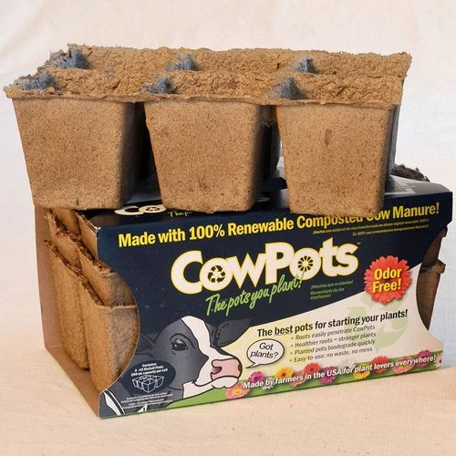 CowPots 3-inch Biodegradable - Pack Of 3 (6-packs) 3 CowPots 3-inch Biodegradable - Pack Of 3 (6-packs)