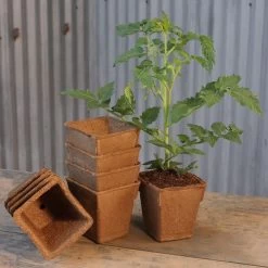 CowPots 4-inch Square Biodegradable - Pack Of 12 5 CowPots 4-inch Square Biodegradable - Pack Of 12 -Botanical Bliss 25826 PK 12 1