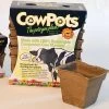 CowPots 4-inch Square Biodegradable - Pack Of 12 -Botanical Bliss 25826 pk 12