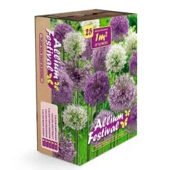 Ornamental Onion Bulbs Festival Box Set -Botanical Bliss 25851 1