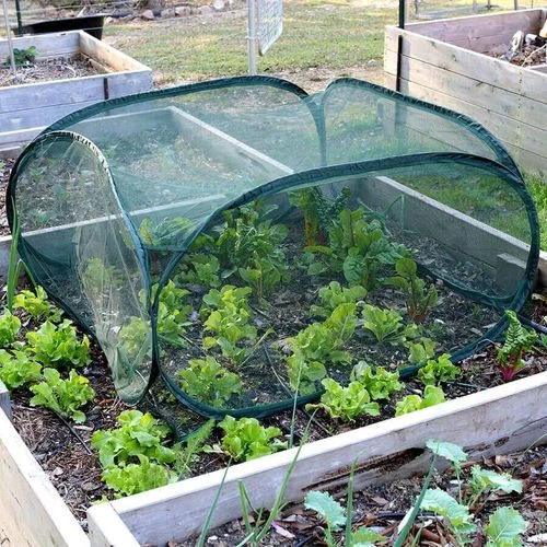 Pop-Net 1 Screen Mesh Plant Protector 3 Pop-Net 1 Screen Mesh Plant Protector