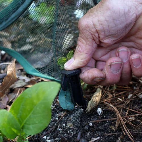 Pop-Net 1 Screen Mesh Plant Protector 4 Pop-Net 1 Screen Mesh Plant Protector - Image 2