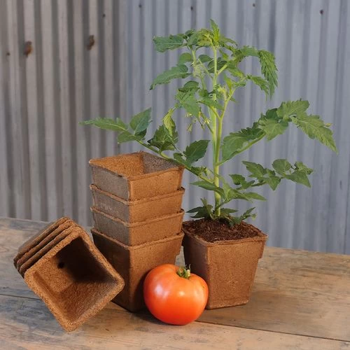 CowPots 4-inch Tall Biodegradable - Pack Of 22 3 CowPots 4-inch Tall Biodegradable - Pack Of 22