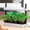SunBlaster Micro LED Growlight Garden -Botanical Bliss 26679