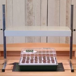 The Complete Bio Dome Collection