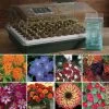 Park's Flower Seed Bio Dome Collection -Botanical Bliss 27862