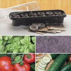 Park's Windowsill Herb & Veggie Starter Kit