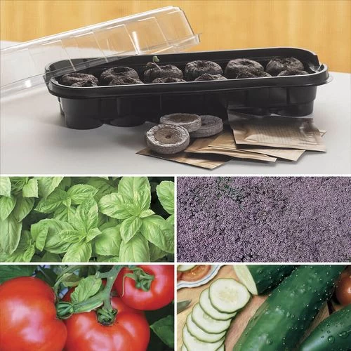 Park's Windowsill Herb & Veggie Starter Kit 3 Park's Windowsill Herb & Veggie Starter Kit