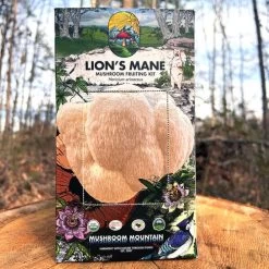 Lion's Mane Pom Pom Mushroom
