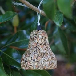 Bugs, Nuts & Fruit Birdseed Bell
