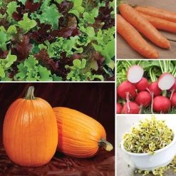 Ultimate Park Seed Kid's Garden Seed Collection