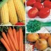 Ultimate Park Seed Vegetable Soup Seed Collection -Botanical Bliss 28151