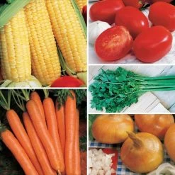 Ultimate Park Seed Vegetable Soup Seed Collection