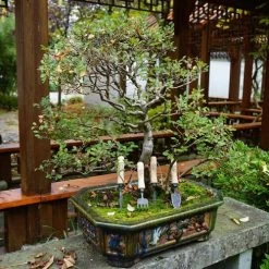 DeWit 4-Piece Bonsai Tool Set -Botanical Bliss 28786 1