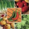 Park Seed Salsa Vegetable Seed Collection -Botanical Bliss 28863