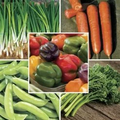 Park Seed Stir Fry Vegetable Seed Collection
