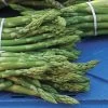 Asparagus Millenium -Botanical Bliss 28872 PK 25