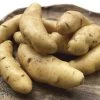 Austrian Crescent Fingerling Potato - 2 Pound Bag -Botanical Bliss 28875
