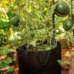 Smart Pot® W/Handles (Black) 25-Gallon Fabric Planter 8 Smart Pot® W/Handles (Black) 25-Gallon Fabric Planter -Botanical Bliss 28967 2