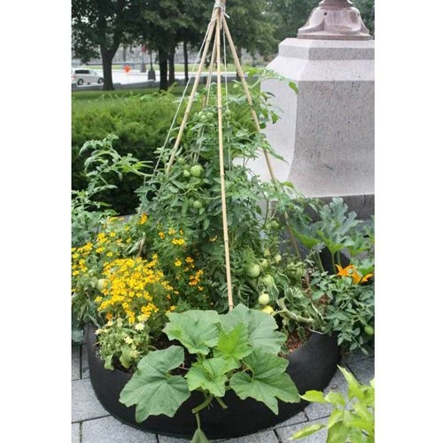 Smart Pot® Round Raised Bed (Black) 100-Gallon Fabric Planter 4 Smart Pot® Round Raised Bed (Black) 100-Gallon Fabric Planter - Image 2