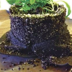 Smart Pot® Fabric Planter 2 Gallon Transplanter (Black) (3-Pack) -Botanical Bliss 28986 PK 3 2