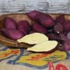 Murasaki Japanese Sweet Potato Slips -Botanical Bliss 29274 PK 25