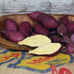 Murasaki Japanese Sweet Potato Slips
