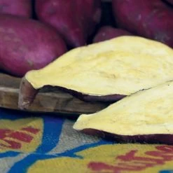 Murasaki Japanese Sweet Potato Slips -Botanical Bliss 29274 PK 25 2