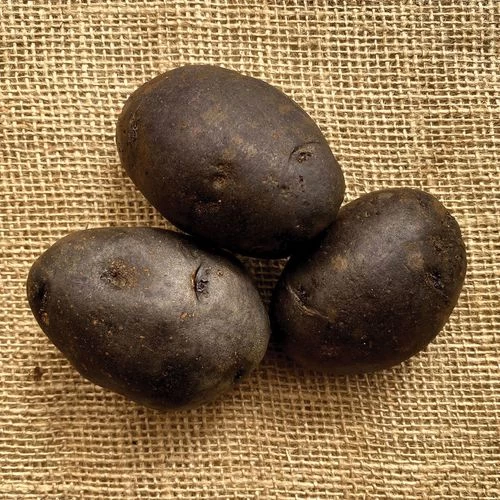 Purple Majesty Potato - 2 Pound Bag 4 Purple Majesty Potato - 2 Pound Bag - Image 2
