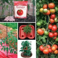 Park's Tomato Solution Collection