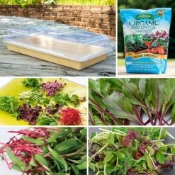 Park's Large Microgreens Collection
