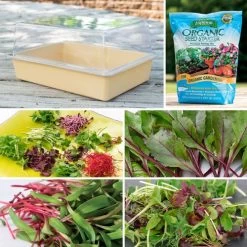 Park's Medium Microgreens Collection
