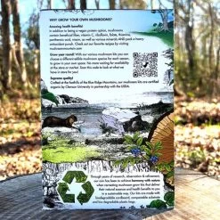 Mushroom Pink Oyster Countertop Kit -Botanical Bliss 29443 3