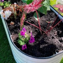 Vego Garden® 17-Inch 6 In 1 Modular Metal Raised Bed (White) -Botanical Bliss 29479 2