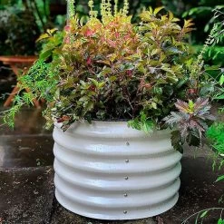 Vego Garden® 17-Inch 6 In 1 Modular Metal Raised Bed (White) -Botanical Bliss 29479 3