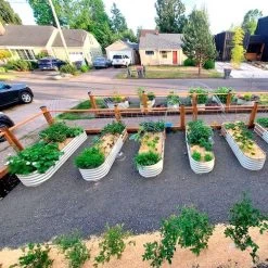 Vego Garden® 17-Inch 9 In 1 Modular Metal Raised Bed (White) 14 Vego Garden® 17-Inch 9 In 1 Modular Metal Raised Bed (White) -Botanical Bliss 29480 4