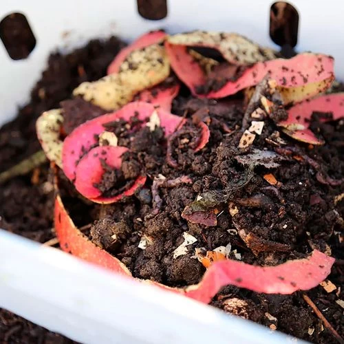 Vego Garden® In-Ground Worm Composter 10 Vego Garden® In-Ground Worm Composter - Image 8