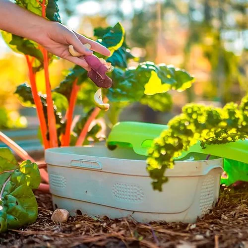 Vego Garden® In-Ground Worm Composter 12 Vego Garden® In-Ground Worm Composter - Image 10